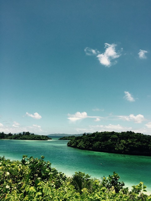 D1C8FB33-9E4C-4A7B-8419-2BCAEB004060