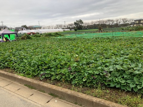 20191027_191030_0016